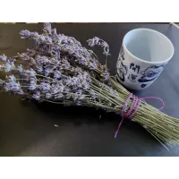 Букет Лава́нди (Lavandula)