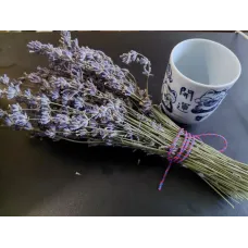 Букет Лава́нди (Lavandula)